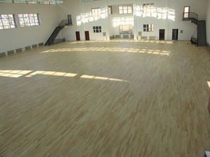 甲級運(yùn)動木地板 暢森